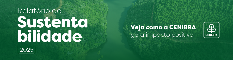 Imagem 970x250