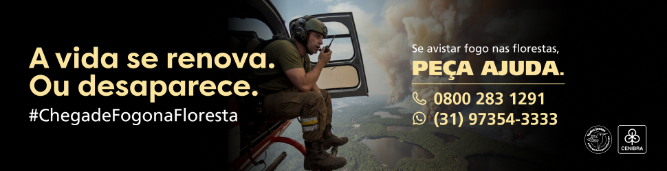 Imagem 970x250